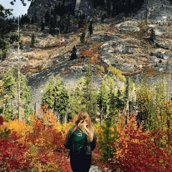 Meet your Posher, Lizzie - Picture 1 of 1